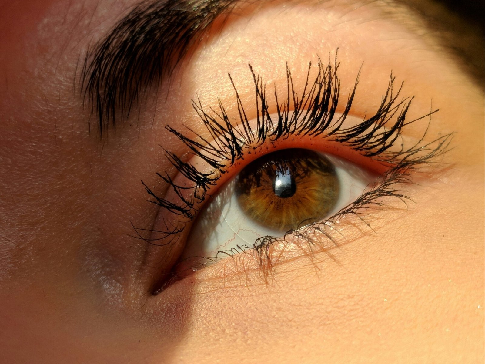 Pestañas largas, los mejores trucos de maquillaje, tipo de rostro, elevar la mirada, gran rimel, larga duracion, rostro, forma de la cara.