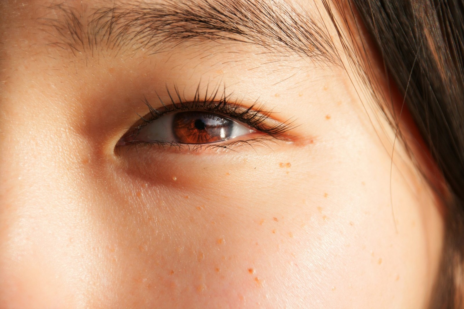 Primer plano de un ojo femenino pestañas largas, ceja perfectamente definida y piel de rostro suave y bien cuidada. Maquillaje natural, enfoque en el cuidado de las cejas y maquillaje de ojos. Imagen ideal para blogs de belleza, tutoriales de maquillaje, tips para resaltar la mirada y rutinas de skincare facial.