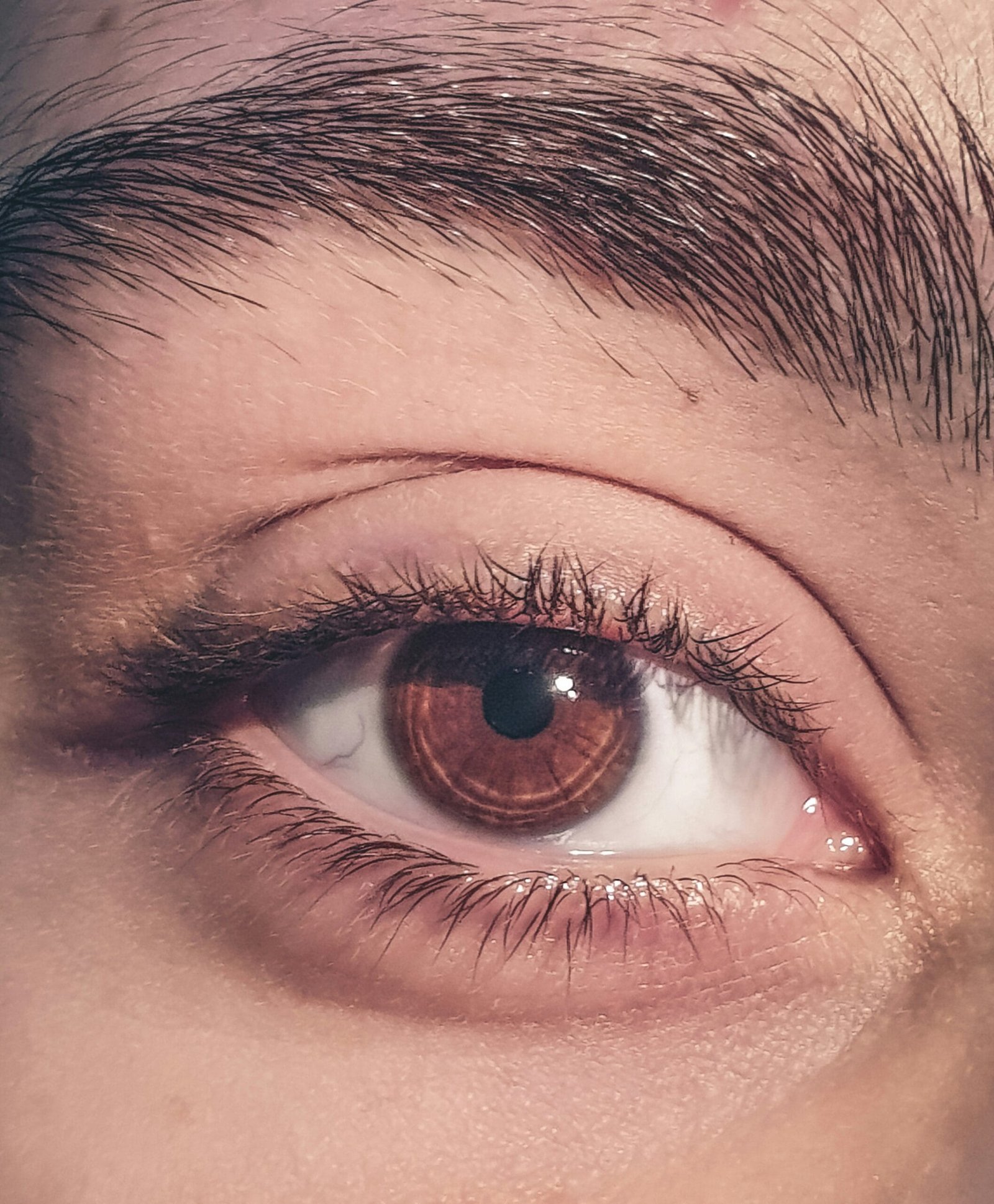 Cuidado de pestañas, cejas definidas, mirada natural, rutina de ojos, piel saludable.